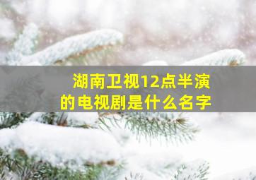 湖南卫视12点半演的电视剧是什么名字