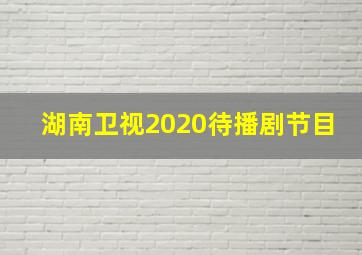 湖南卫视2020待播剧节目