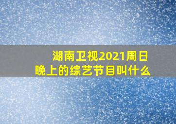 湖南卫视2021周日晚上的综艺节目叫什么