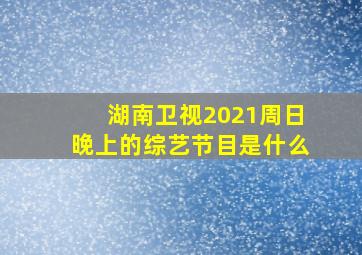 湖南卫视2021周日晚上的综艺节目是什么