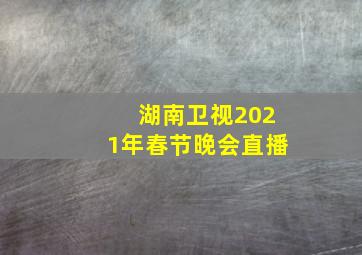 湖南卫视2021年春节晚会直播