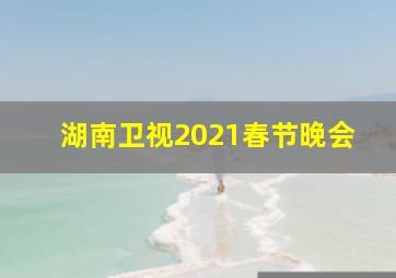 湖南卫视2021春节晚会