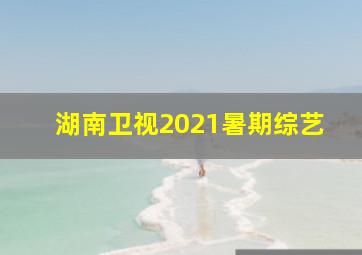 湖南卫视2021暑期综艺