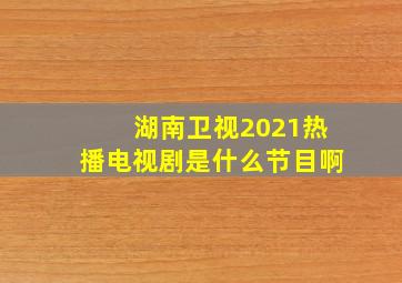 湖南卫视2021热播电视剧是什么节目啊