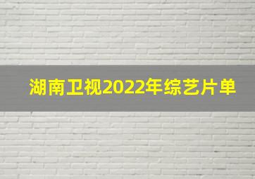 湖南卫视2022年综艺片单