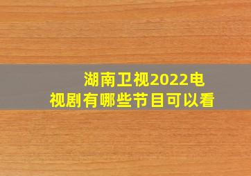 湖南卫视2022电视剧有哪些节目可以看