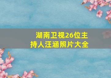 湖南卫视26位主持人汪涵照片大全