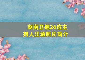 湖南卫视26位主持人汪涵照片简介