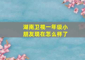 湖南卫视一年级小朋友现在怎么样了