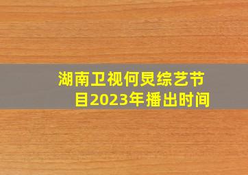 湖南卫视何炅综艺节目2023年播出时间