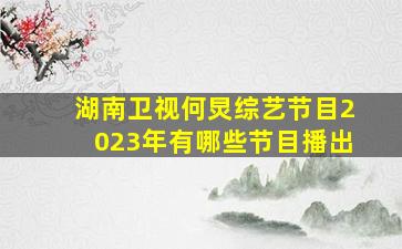 湖南卫视何炅综艺节目2023年有哪些节目播出