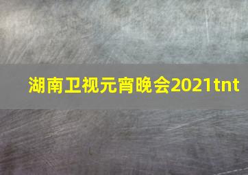 湖南卫视元宵晚会2021tnt