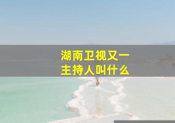 湖南卫视又一主持人叫什么