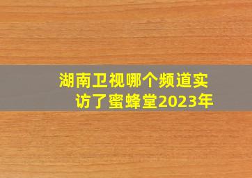 湖南卫视哪个频道实访了蜜蜂堂2023年