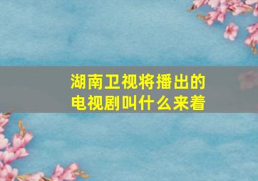 湖南卫视将播出的电视剧叫什么来着