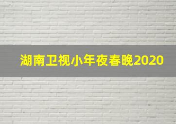 湖南卫视小年夜春晚2020