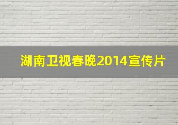 湖南卫视春晚2014宣传片