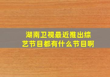 湖南卫视最近推出综艺节目都有什么节目啊