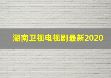 湖南卫视电视剧最新2020