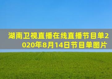 湖南卫视直播在线直播节目单2020年8月14日节目单图片