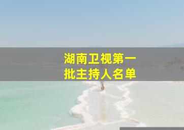 湖南卫视第一批主持人名单