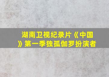 湖南卫视纪录片《中国》第一季独孤伽罗扮演者