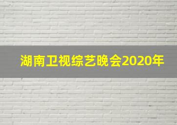 湖南卫视综艺晚会2020年