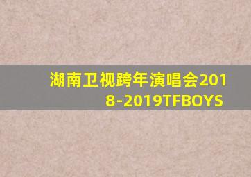 湖南卫视跨年演唱会2018-2019TFBOYS