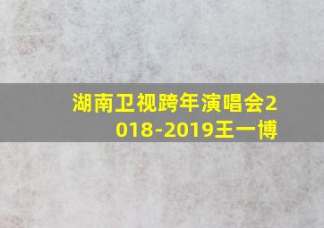 湖南卫视跨年演唱会2018-2019王一博