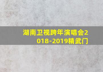 湖南卫视跨年演唱会2018-2019精武门