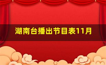 湖南台播出节目表11月