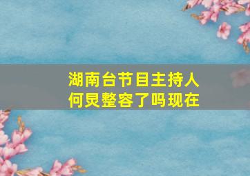 湖南台节目主持人何炅整容了吗现在