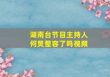 湖南台节目主持人何炅整容了吗视频