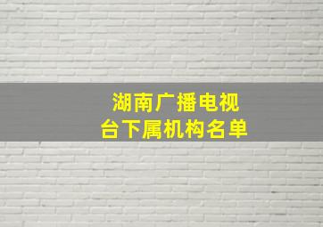 湖南广播电视台下属机构名单