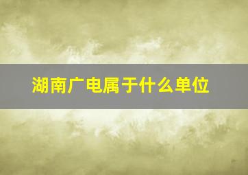 湖南广电属于什么单位