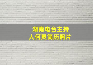 湖南电台主持人何炅简历照片