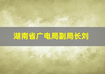 湖南省广电局副局长刘