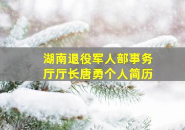 湖南退役军人部事务厅厅长唐勇个人简历