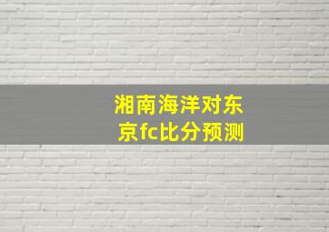 湘南海洋对东京fc比分预测