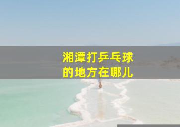 湘潭打乒乓球的地方在哪儿