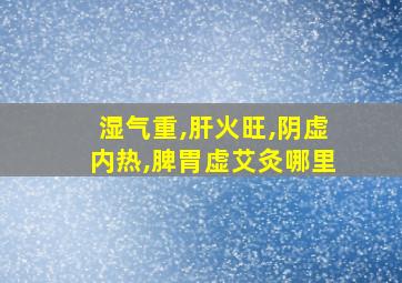 湿气重,肝火旺,阴虚内热,脾胃虚艾灸哪里