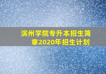 滨州学院专升本招生简章2020年招生计划