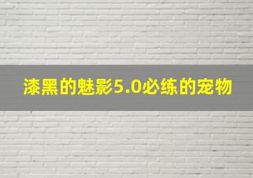 漆黑的魅影5.0必练的宠物