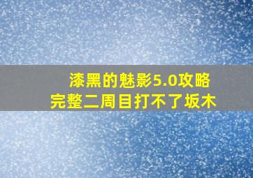 漆黑的魅影5.0攻略完整二周目打不了坂木