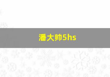 潘大帅5hs