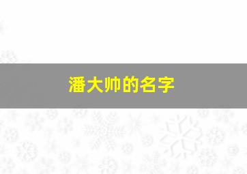 潘大帅的名字