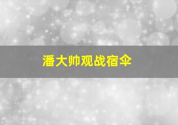 潘大帅观战宿伞