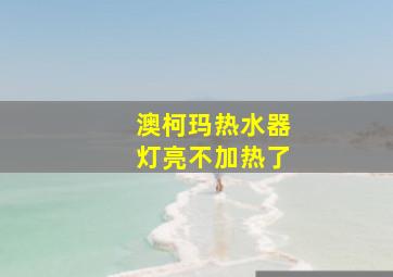 澳柯玛热水器灯亮不加热了