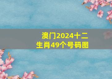 澳门2024十二生肖49个号码图