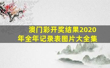 澳门彩开奖结果2020年全年记录表图片大全集